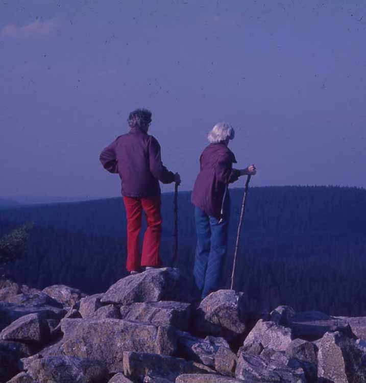 mountain top